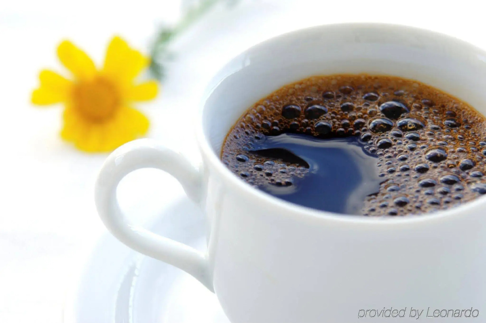 Keene Elm City Hotel, an Ascend Collection Hotel