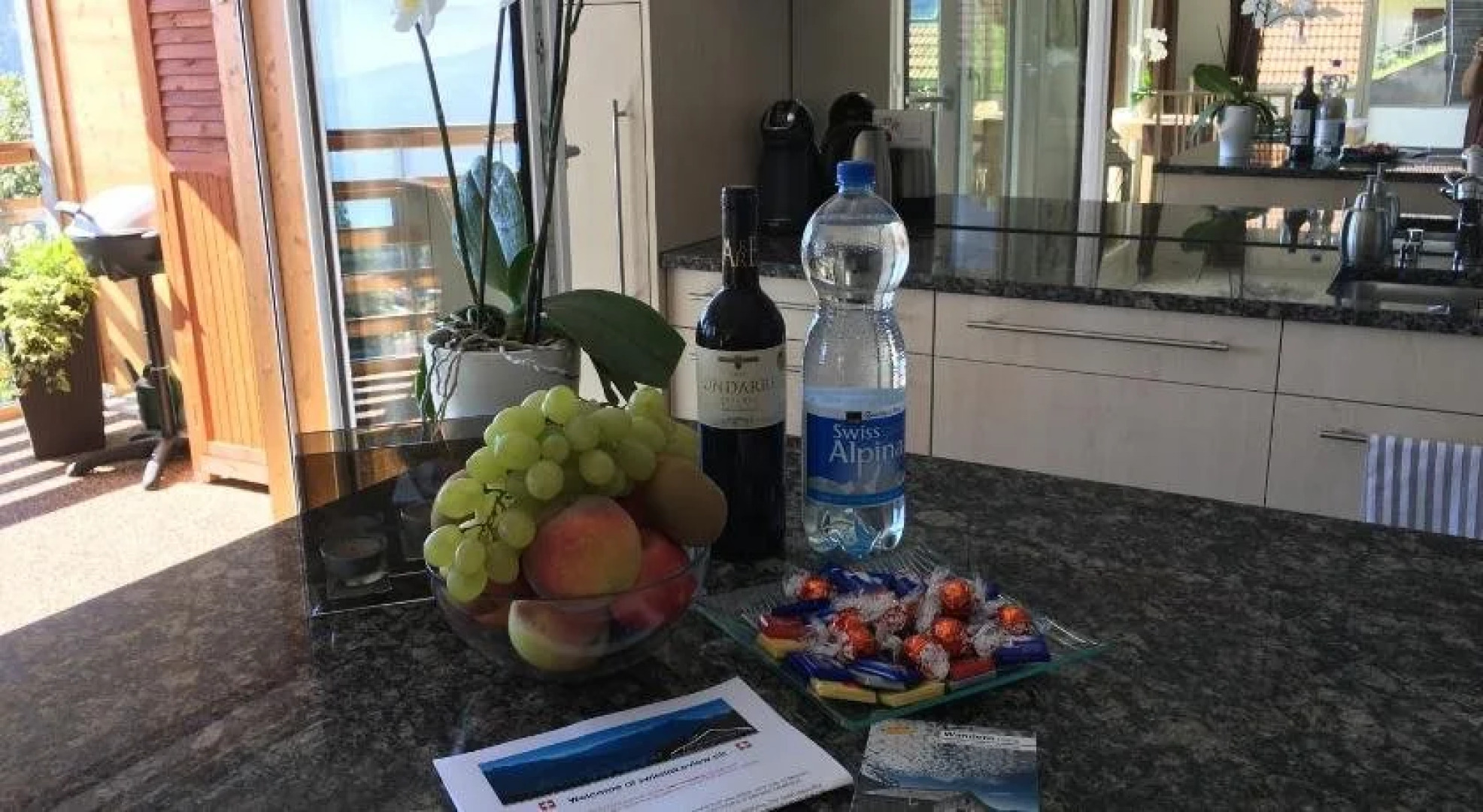 Swiss Lakeview Apartment