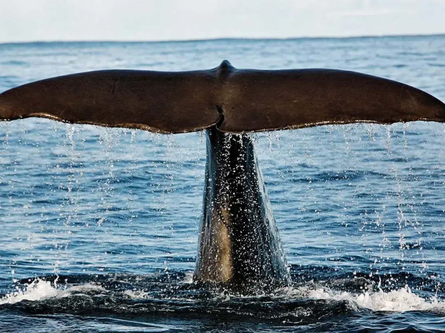 6 Person Holiday Home in Hennes