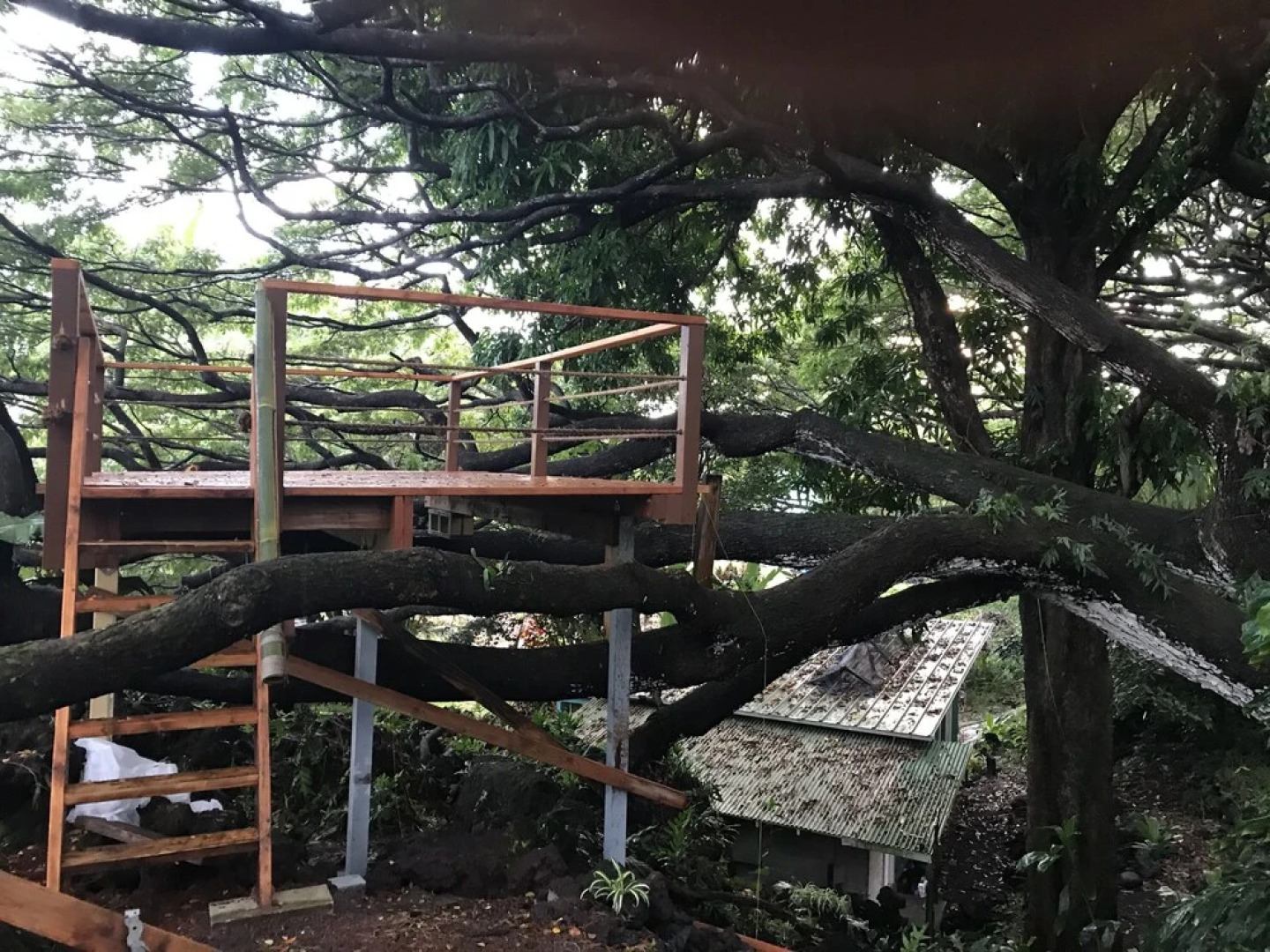 SweetSpotStay-Enchanted Grotto