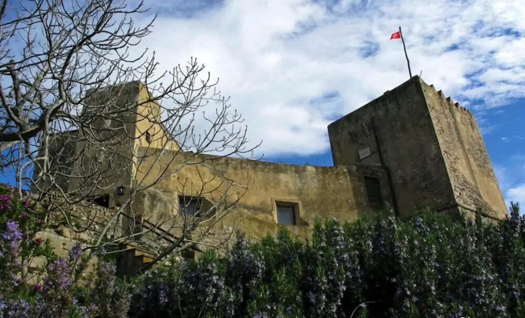 Verdidea - TORRE SPAGNOLA