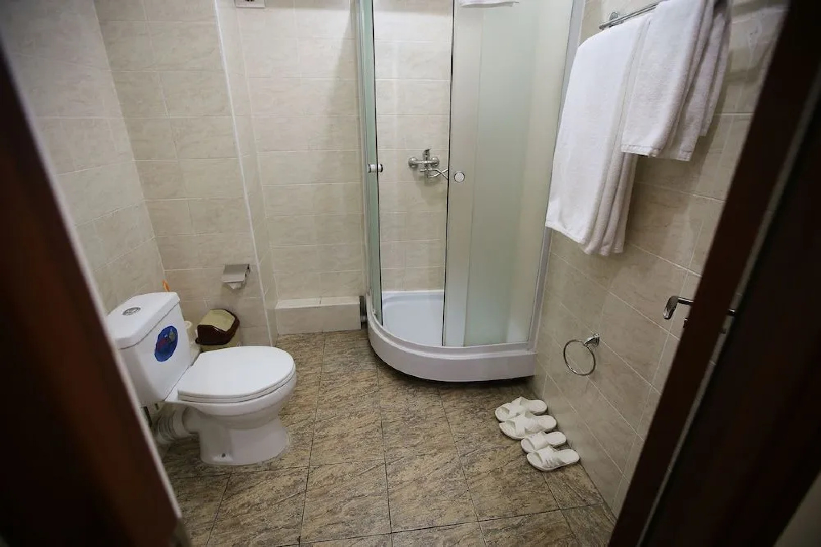 Отель ALTAI business hotel