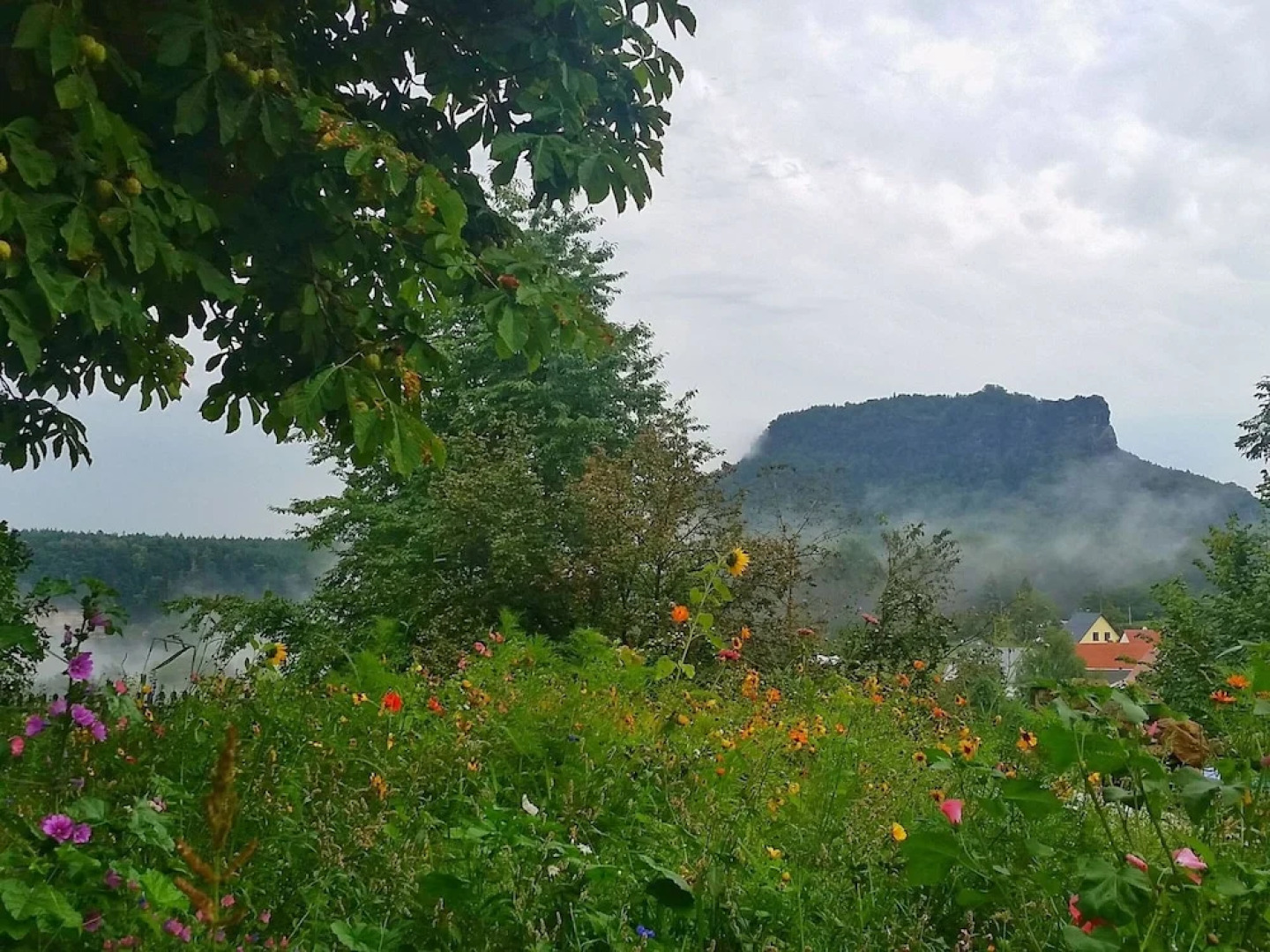 Sachsischer Familienurlaub, Struppen
