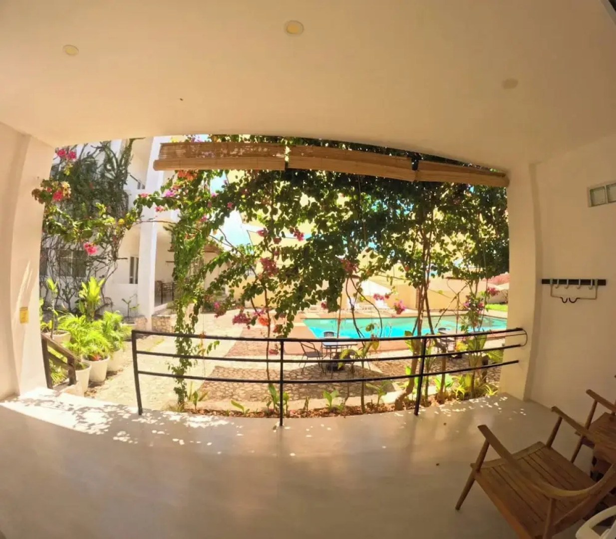 Divers Lodge Plumeria