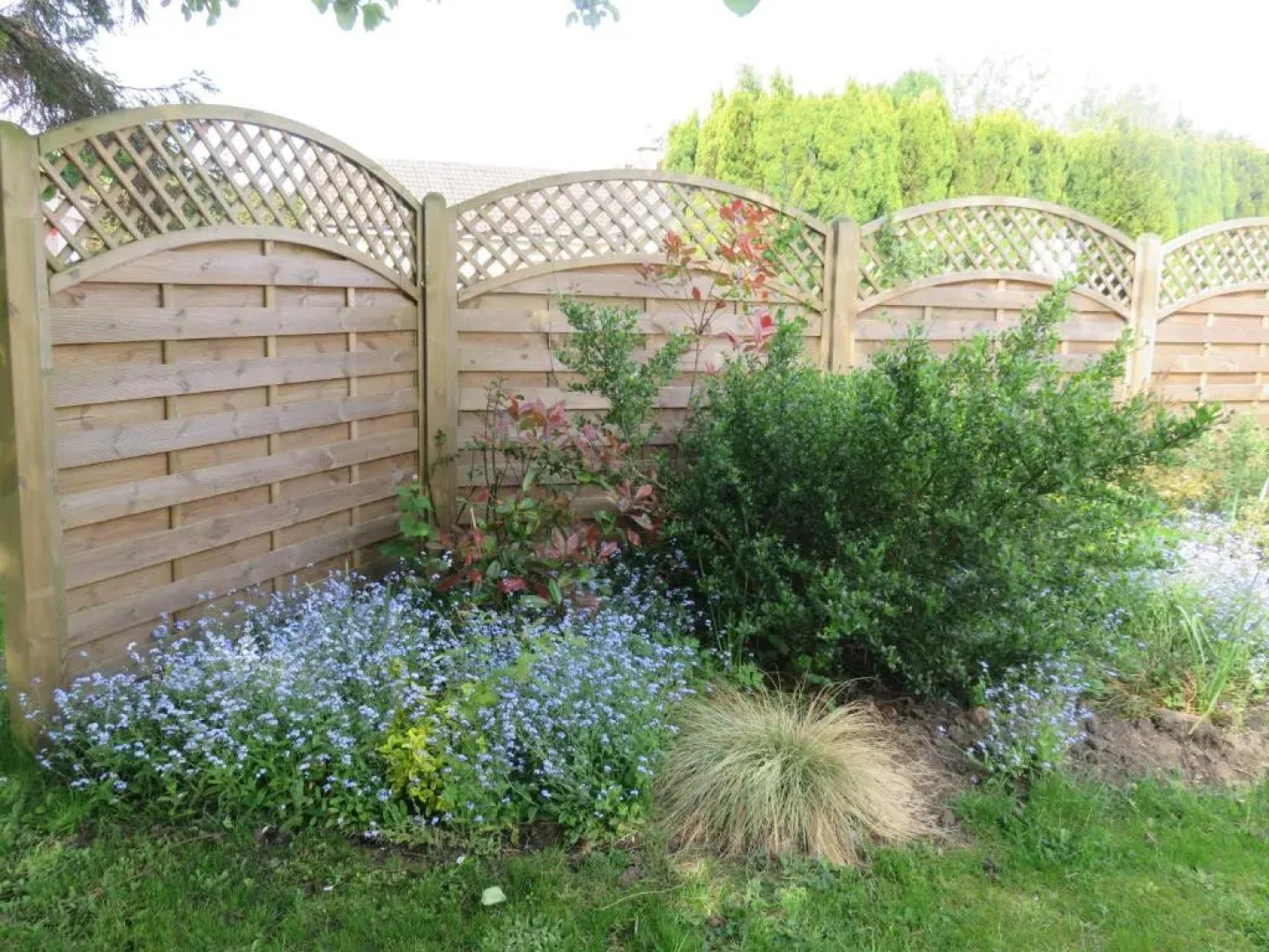 Apple Tree Corner Apartment