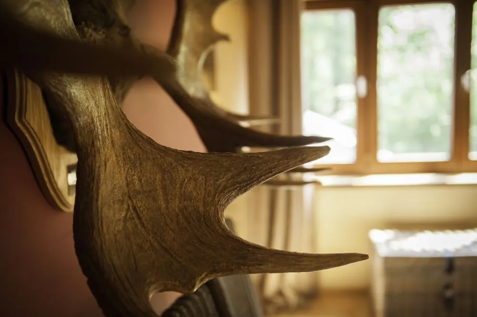 Kombinn Holiday Home near Bruges