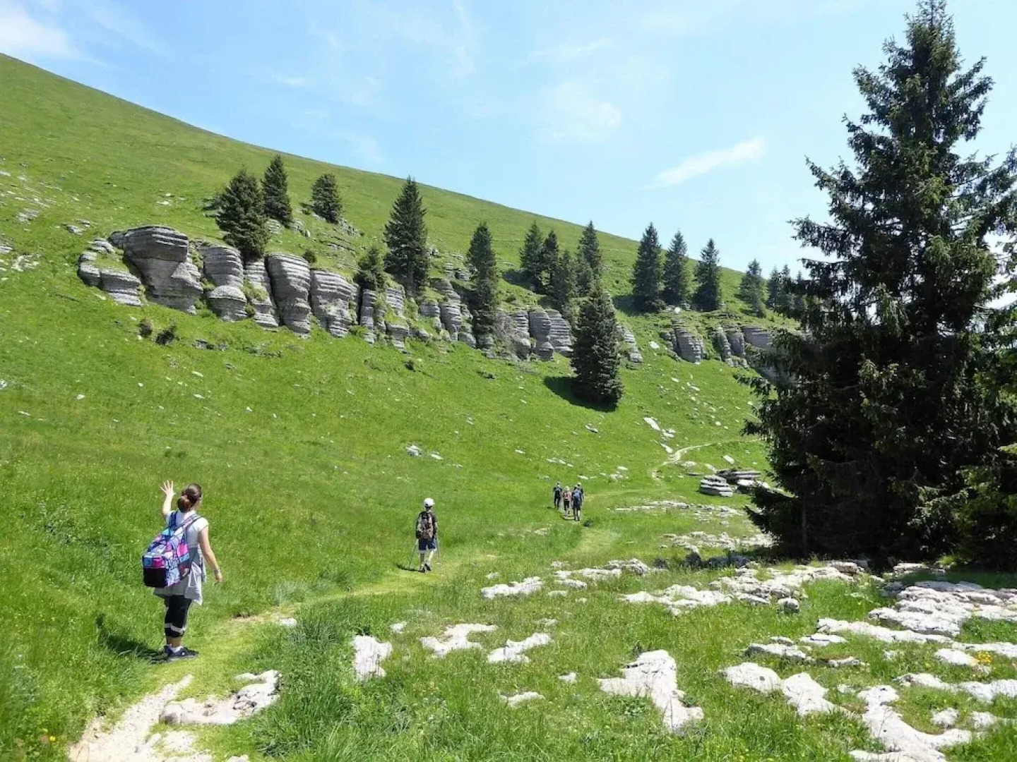 Apartment in Valbelluna With Pool & Dolomites View