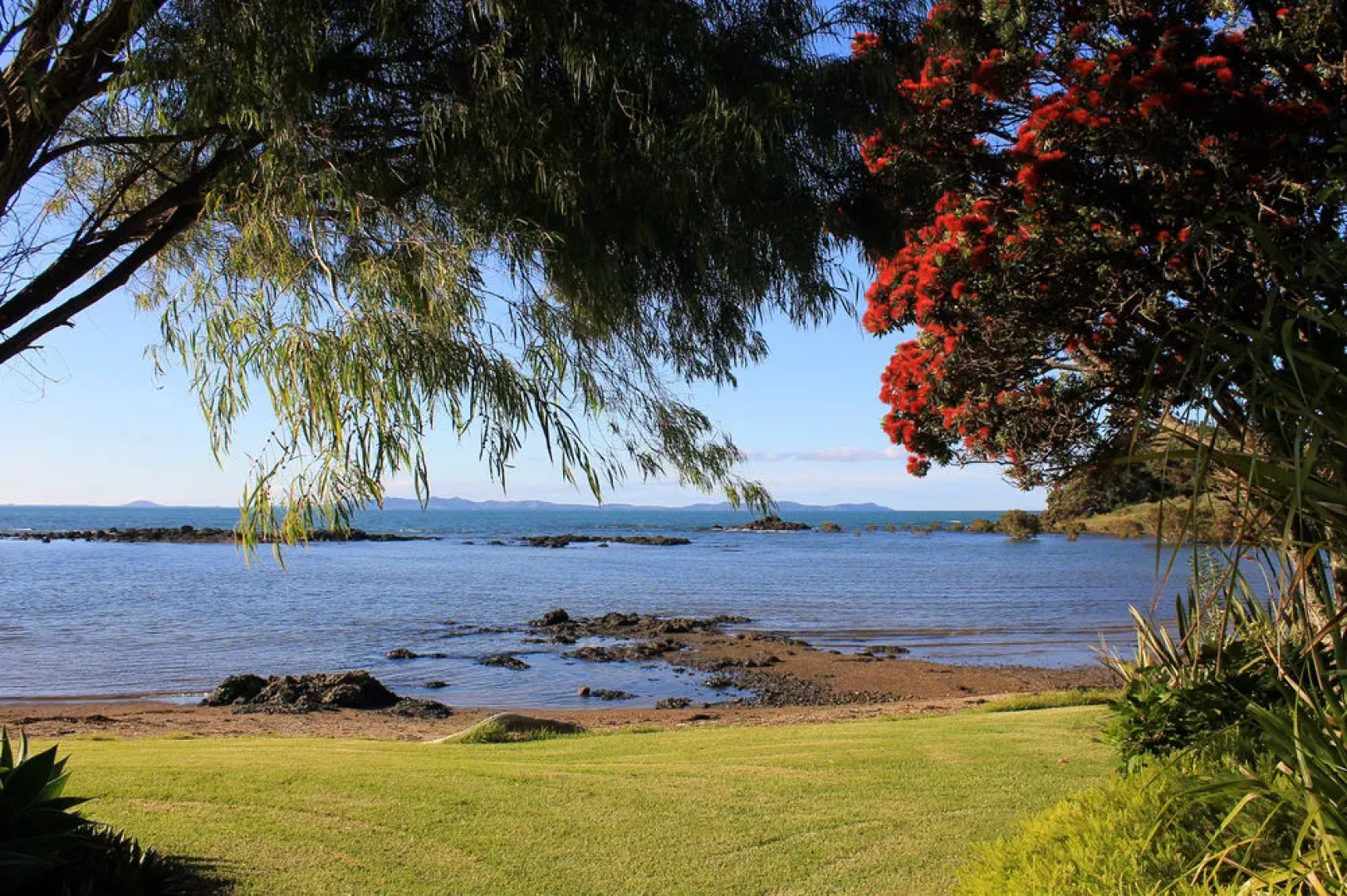 Sanctuary in the Cove