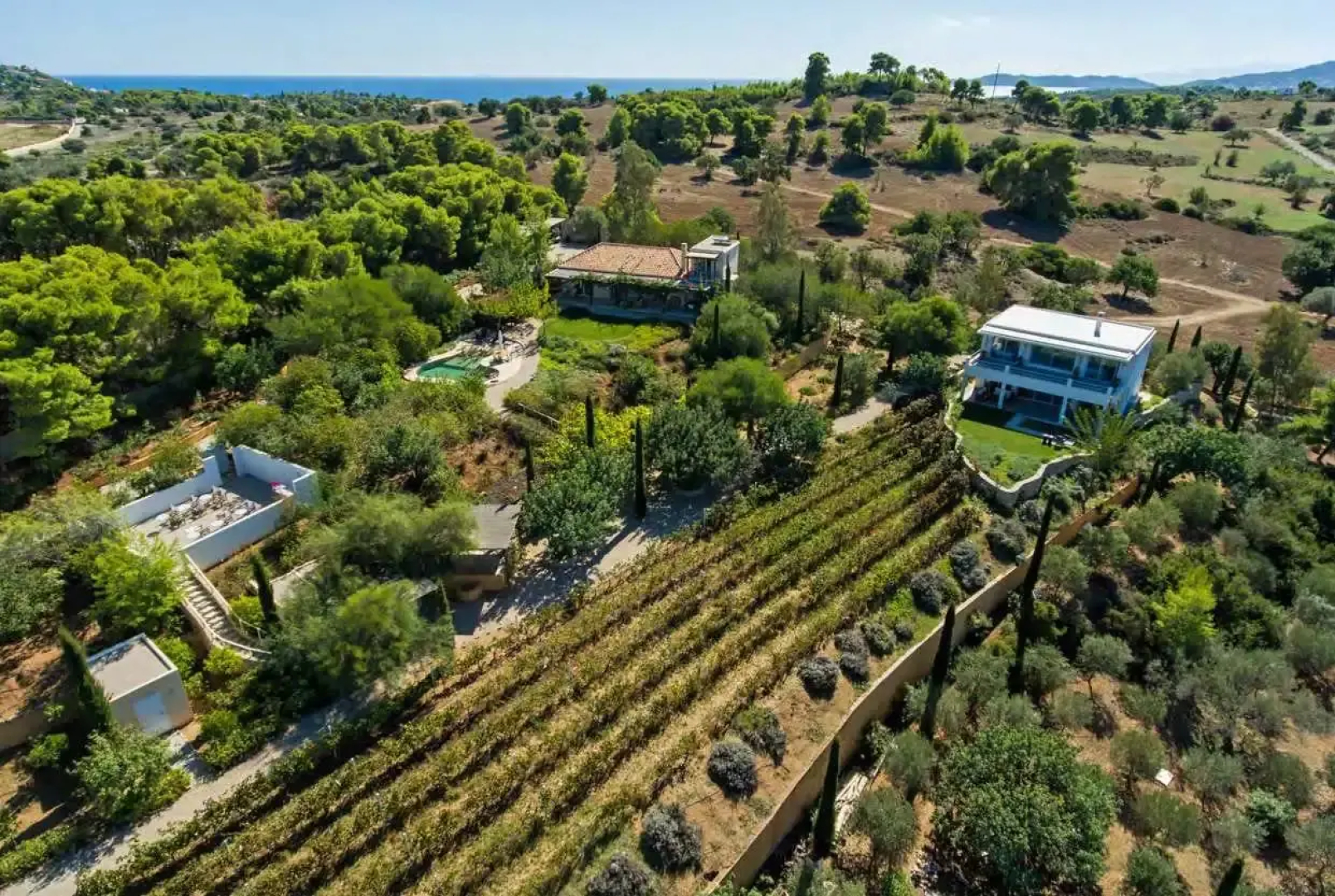 Vineyard Villa