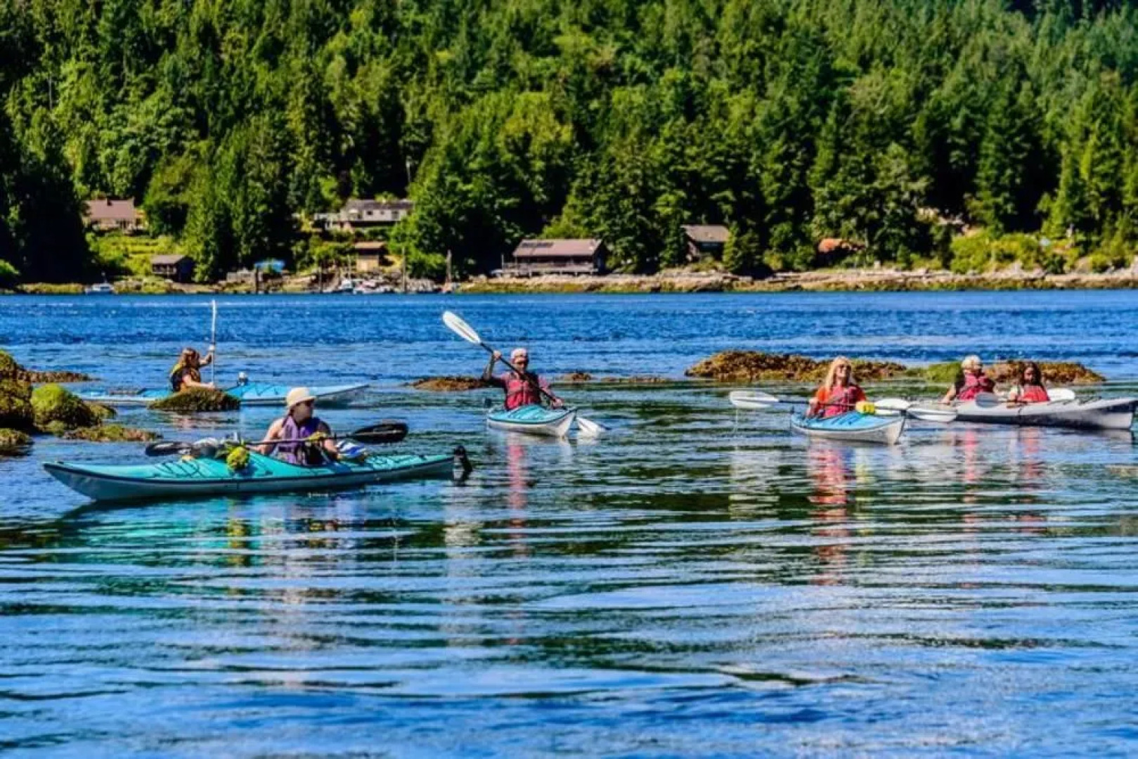 West Coast Wilderness Lodge