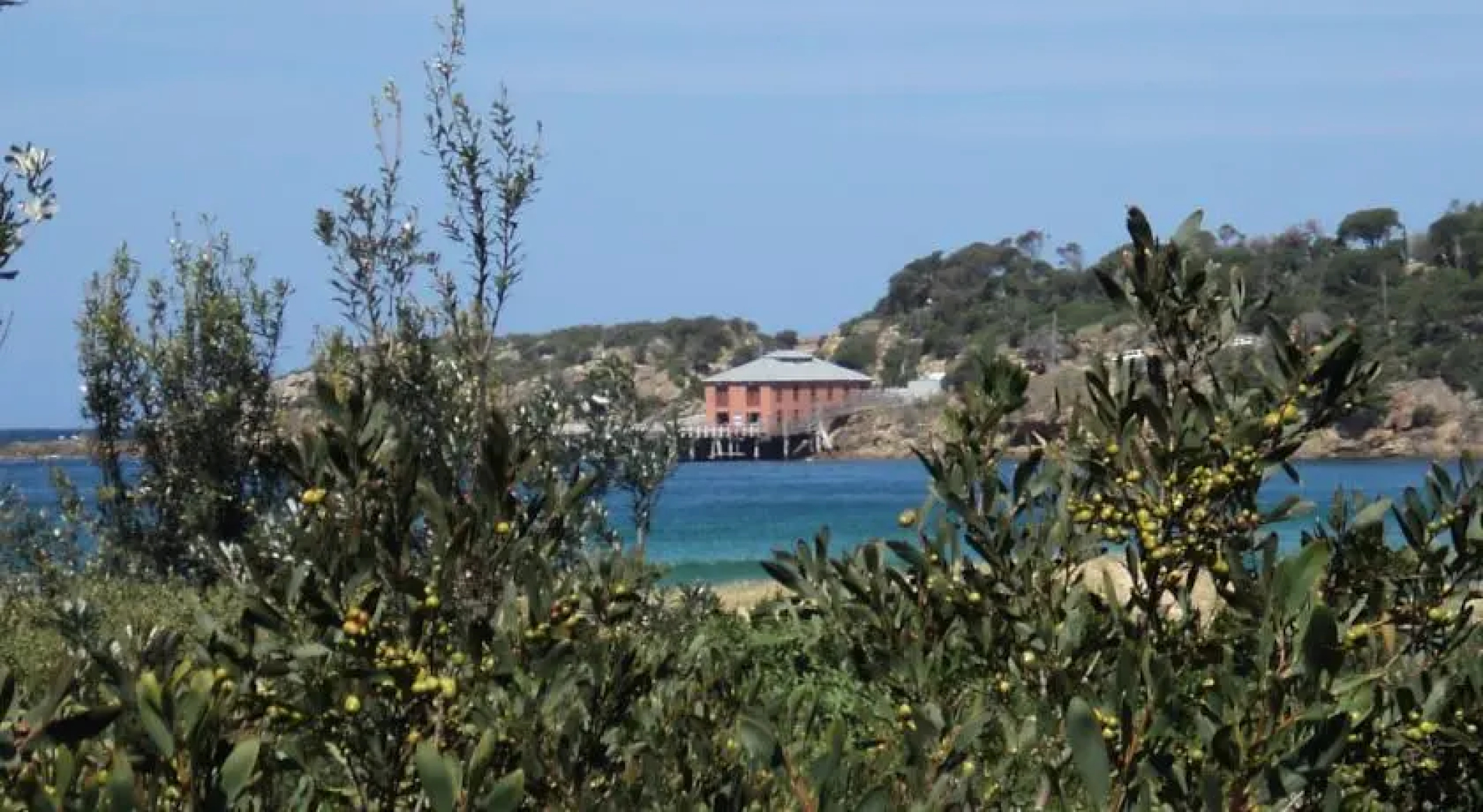 Tathra Beach Family Park