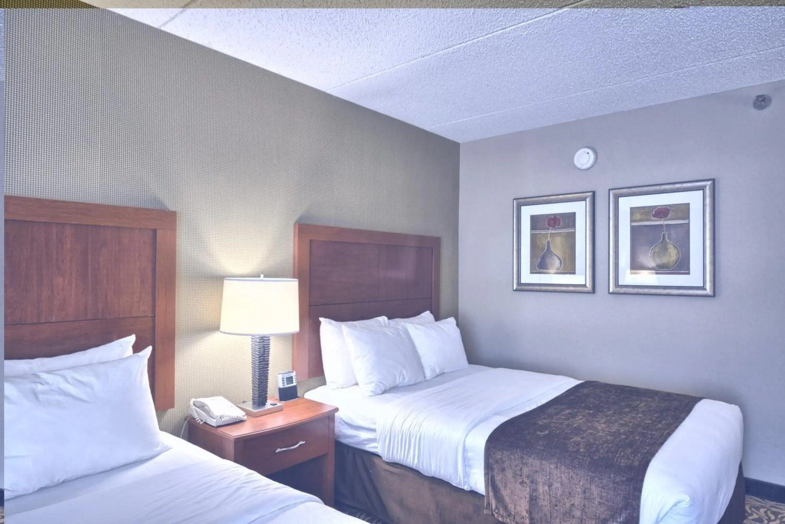 Clarion Inn & Suites Cortland - University Area