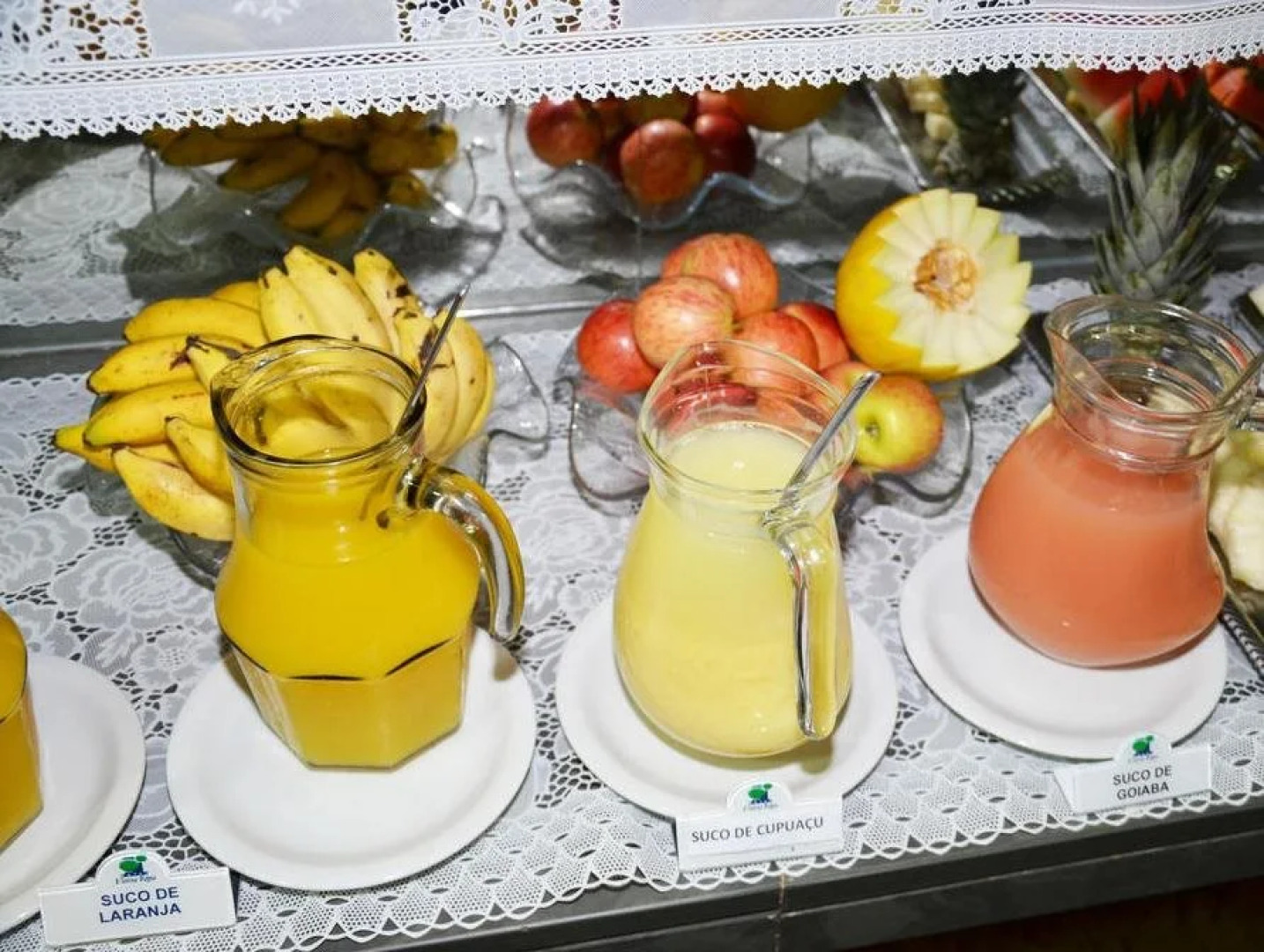 Hotel Vitória Régia