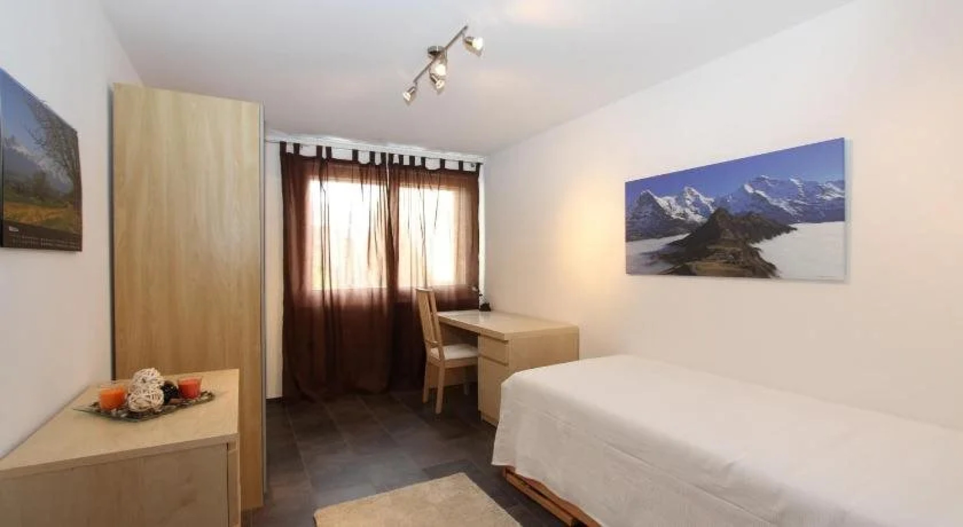 Swiss Lakeview Apartment