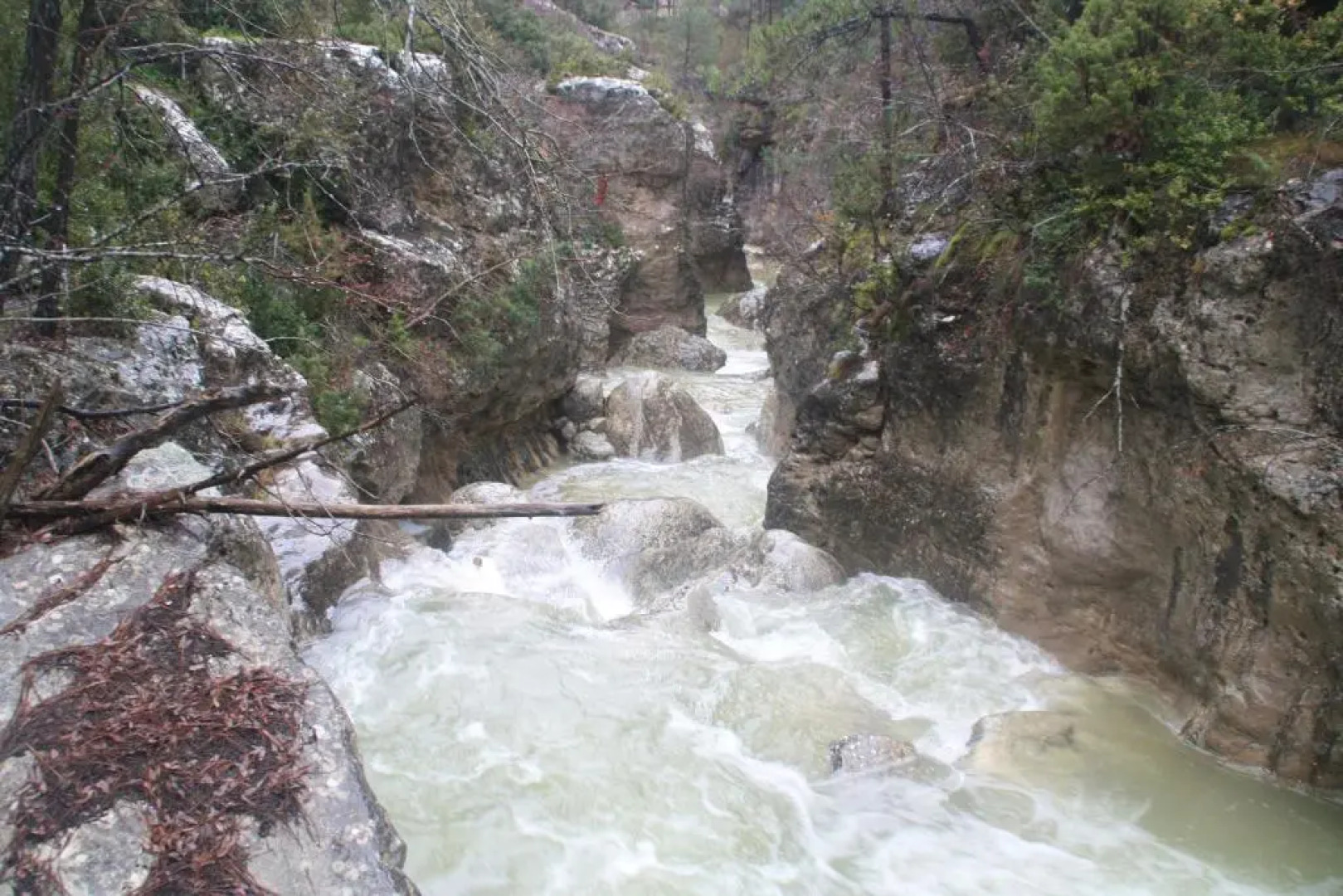 El Casal de Nicolás