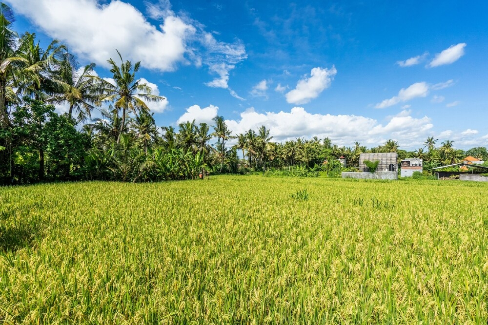 Kutus Kutus Saba Beach Villas