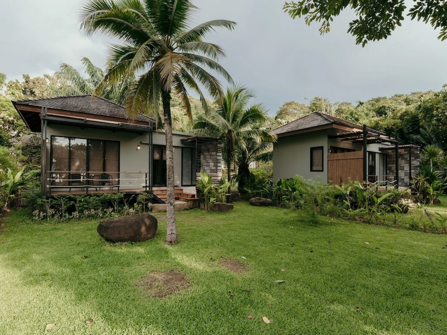 The Mangrove By Blu Monkey