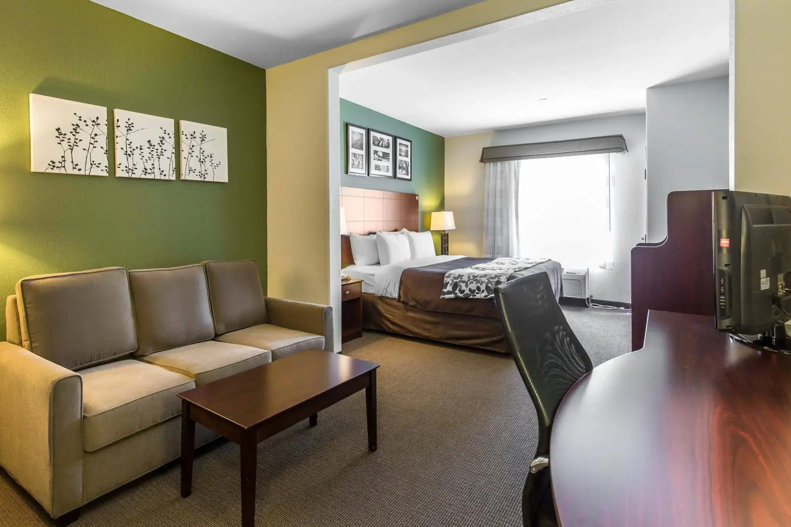 Sleep Inn & Suites Bush Intercontinental - IAH East