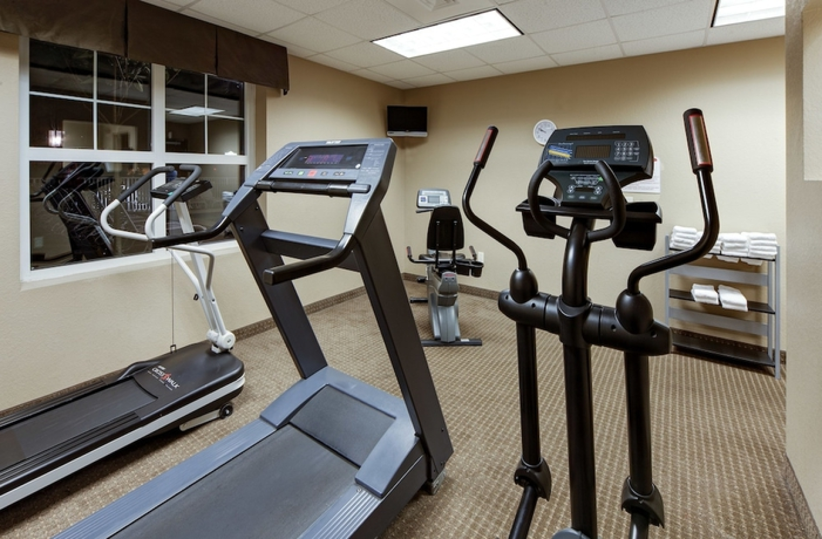 Holiday Inn Downtown