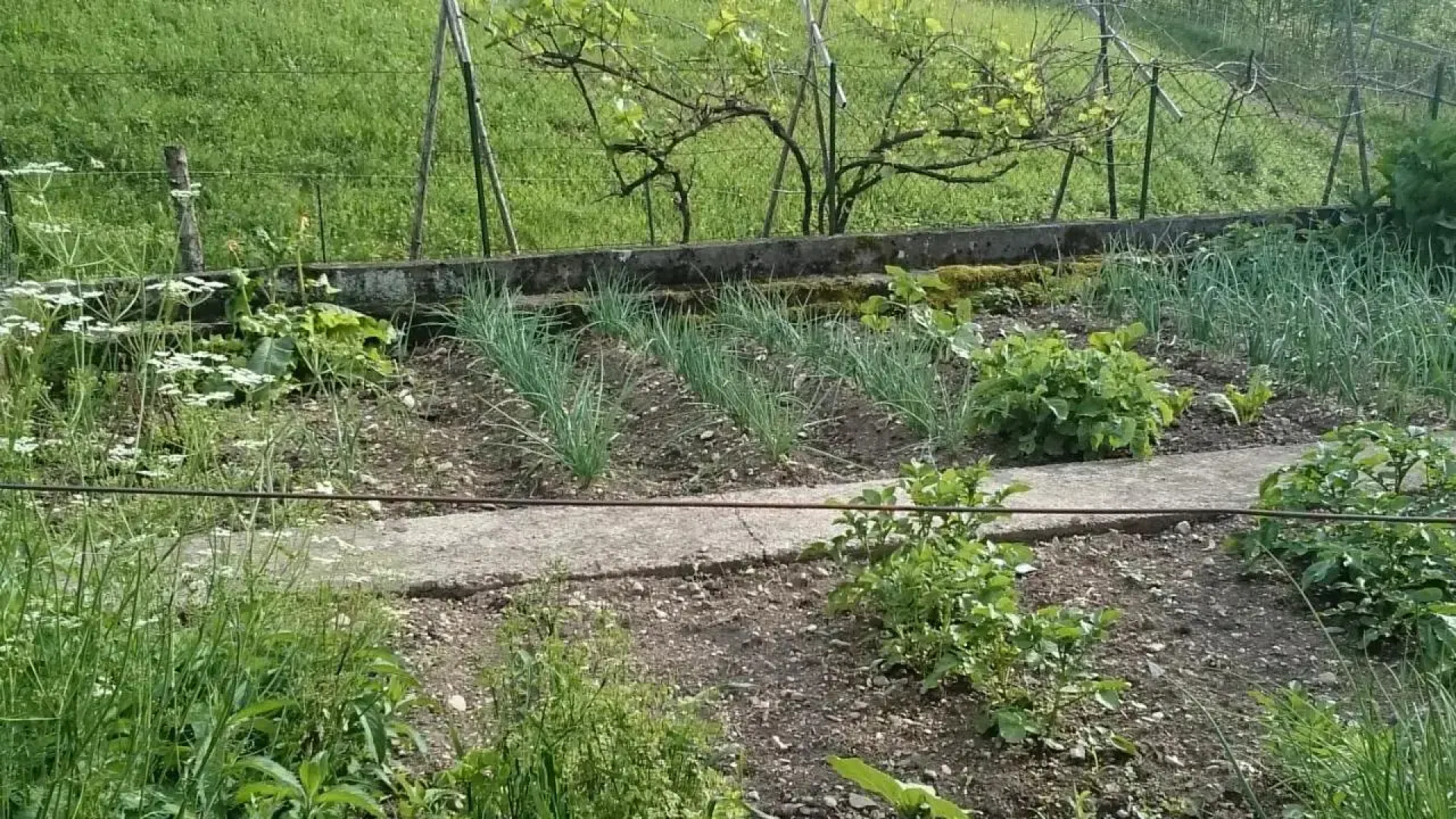 Studio chez Lili dans ferme familiale