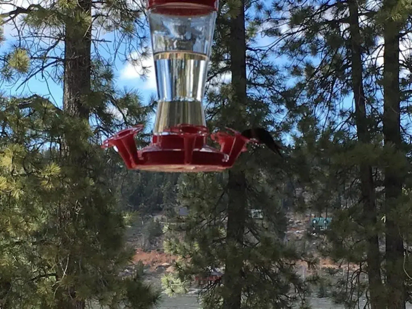 Duck Creek Village Inn