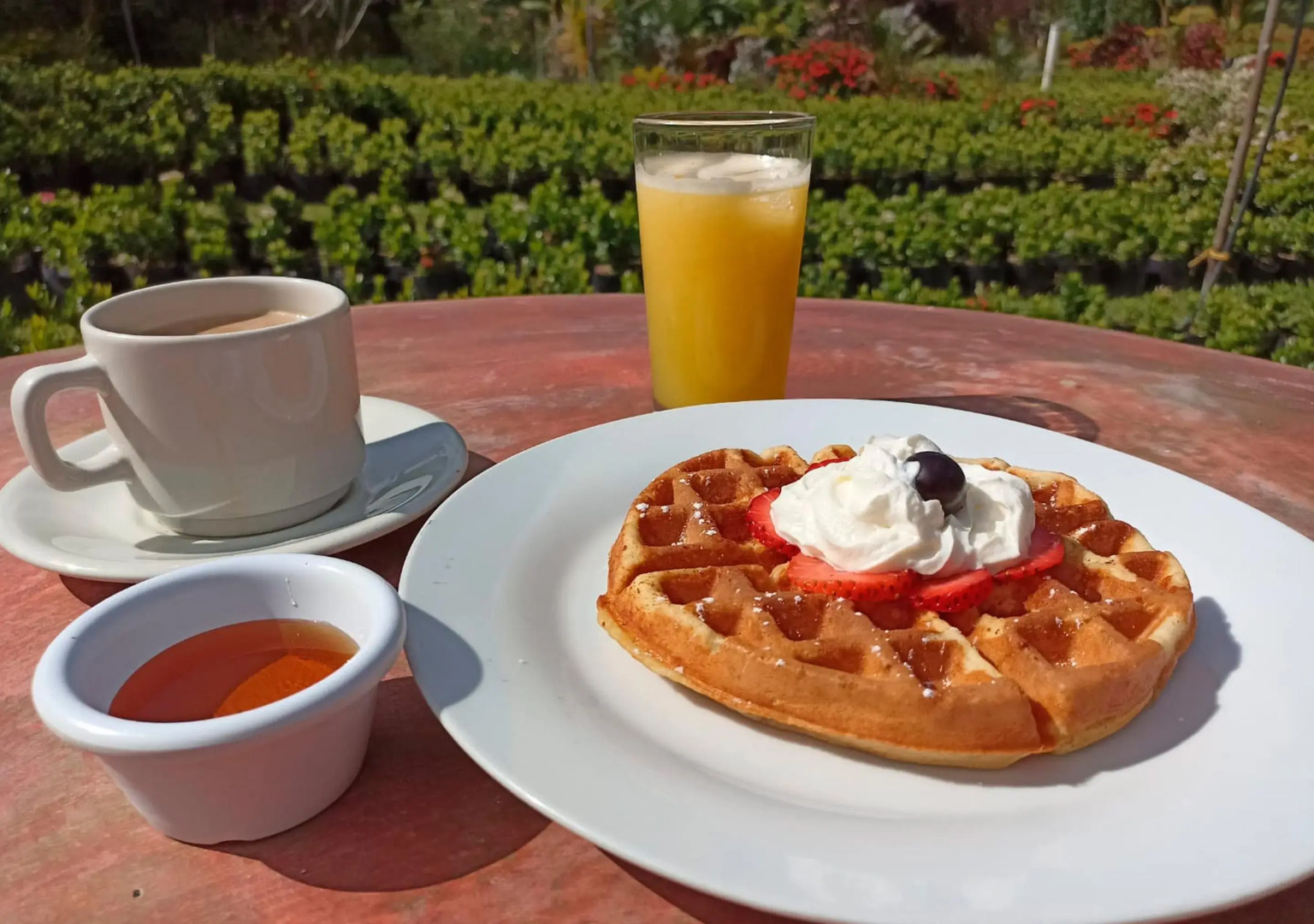 Portales del Tayrona Garden Hotel