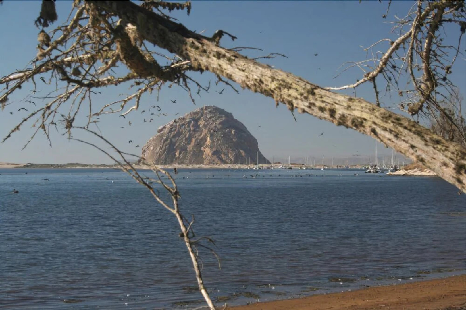 Cayucos Condo Unit 12 - 2 Br Condo