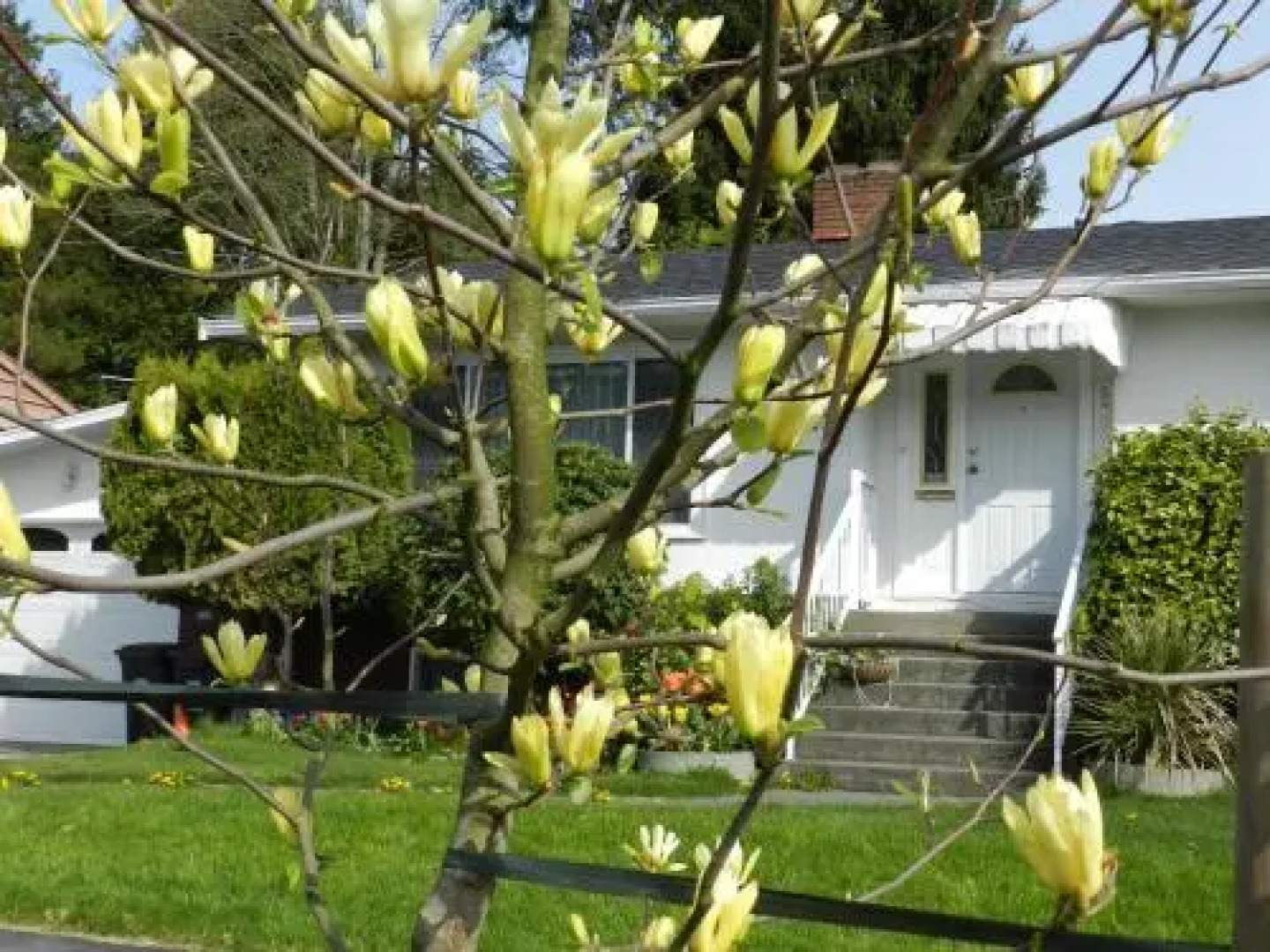 Serenity Bed and Breakfast