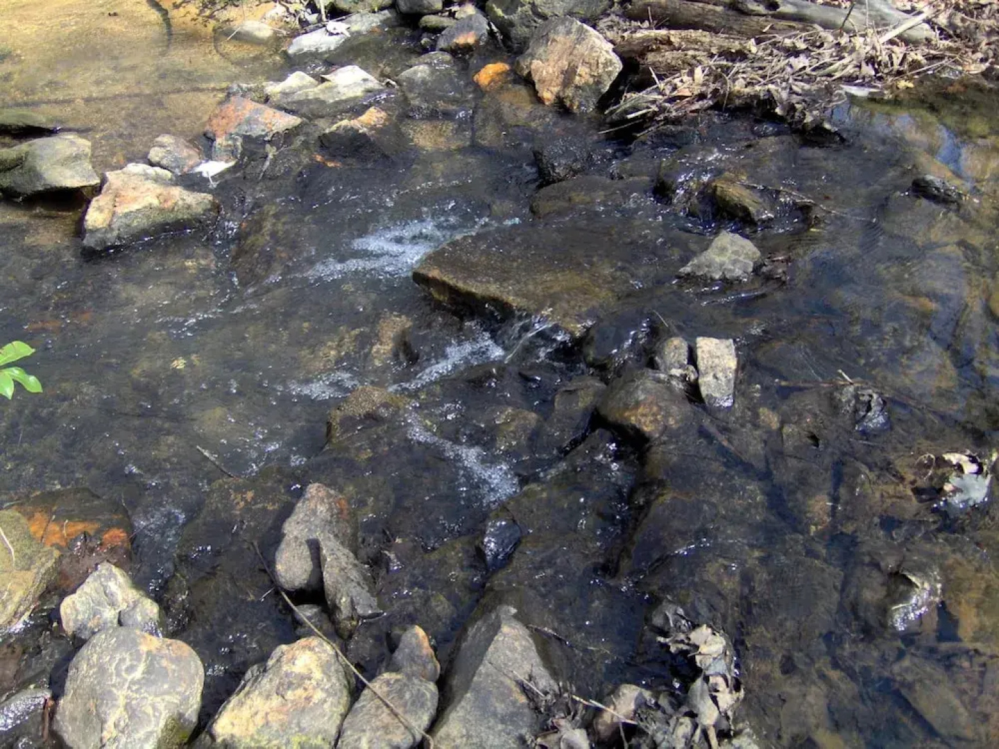 Twin Creeks