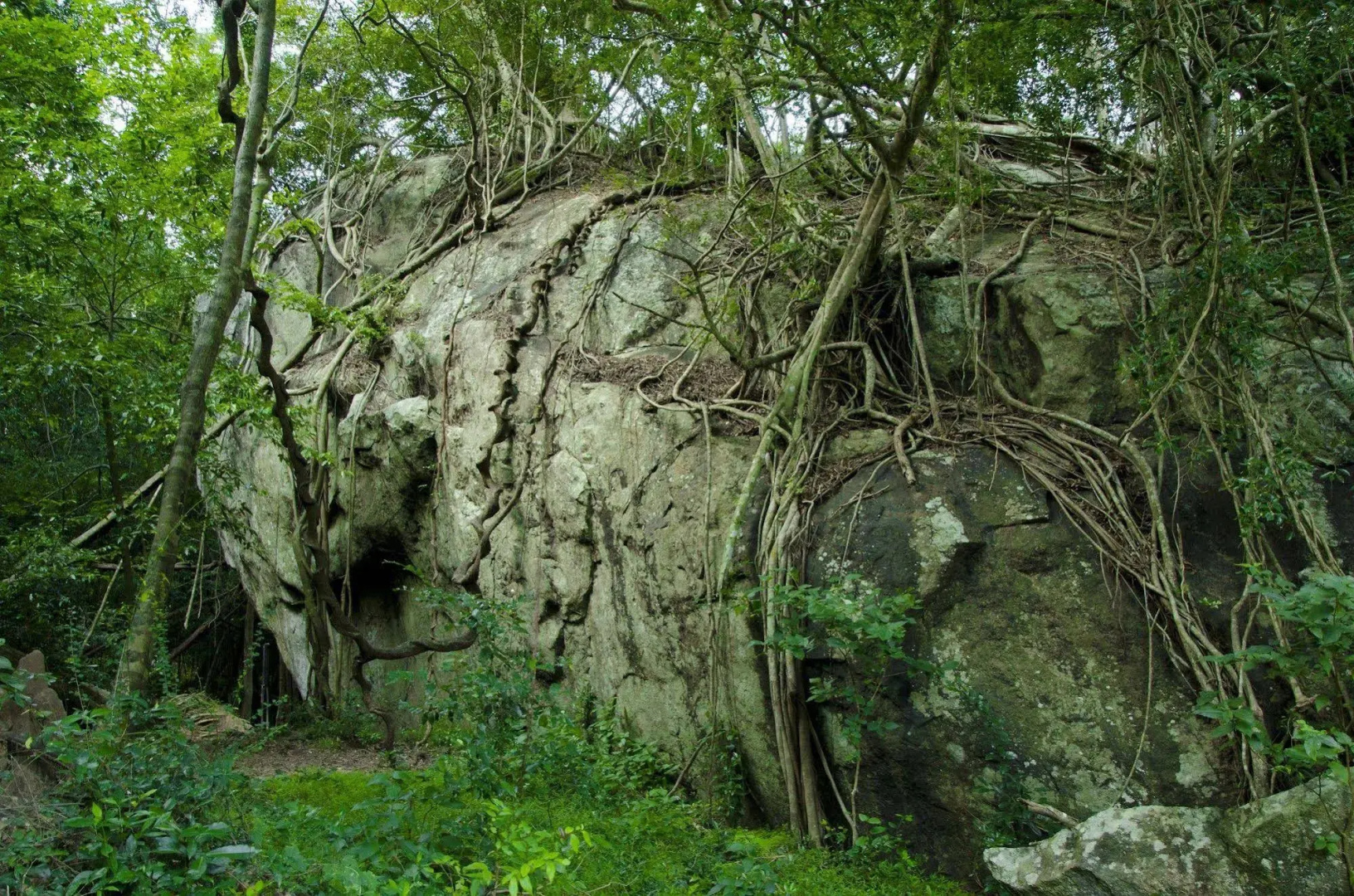 The Green Paradise Resort