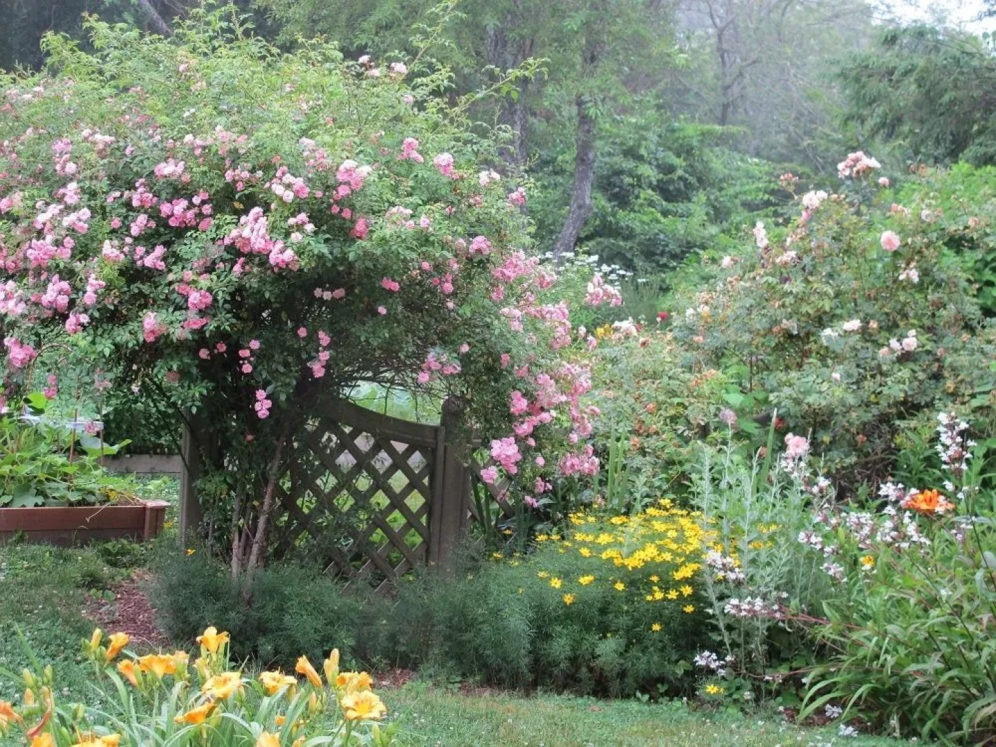 Honeysuckle Hill Inn