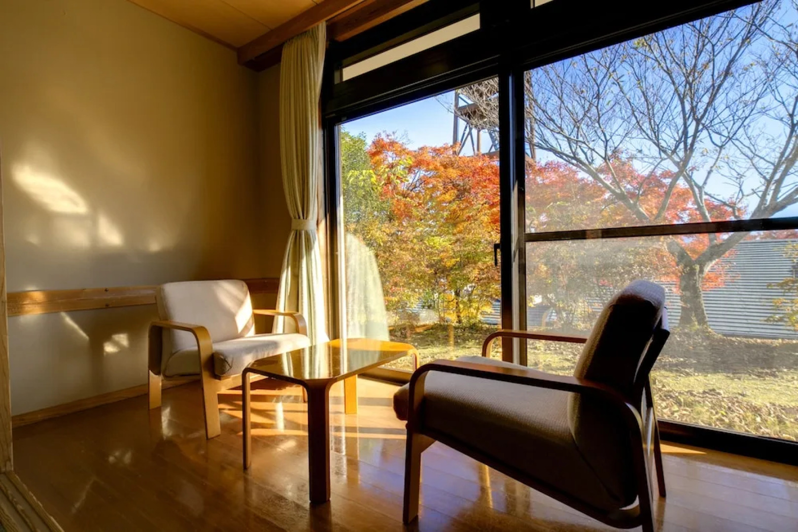 Forest Resort Conifer Iwabitsu