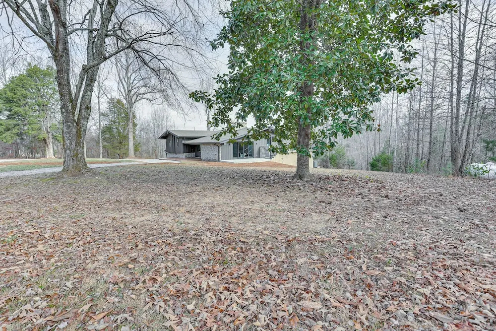 'the Duck Farm' Sugar Tree Hideaway w/ Yard!