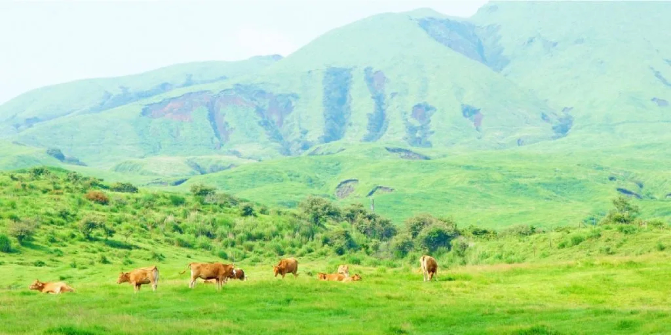 Yamaga Hirayama Onsen Ryokan Kazokuyu Imamura