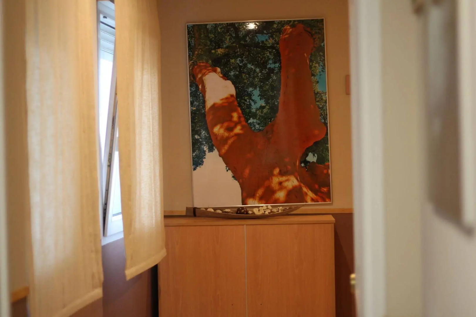 Hostal Goyesco Plaza