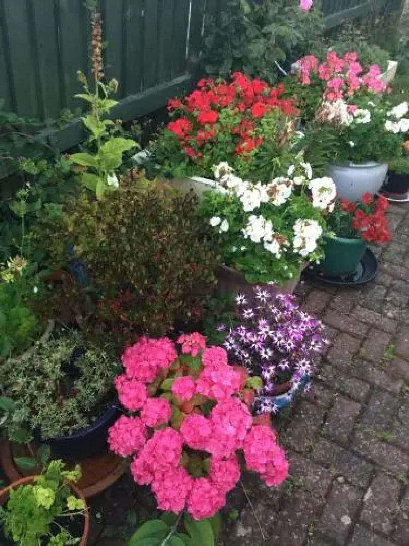 Rowan Cottage Guest House