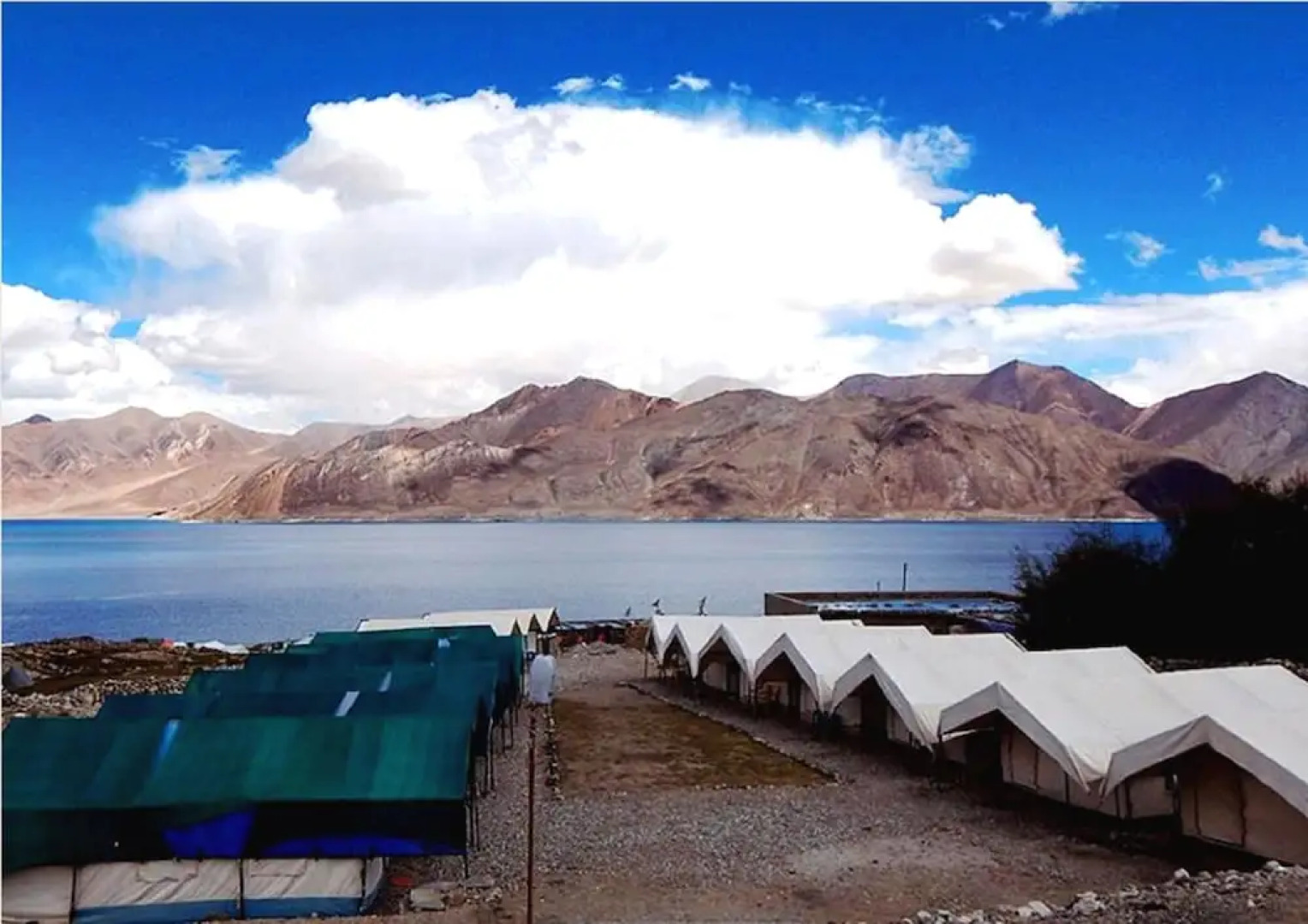 Pangong Lake View Cottages and Camps