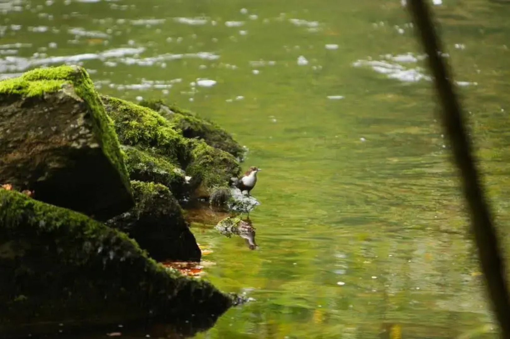 The Old Rectory Boutique Country House Hotel
