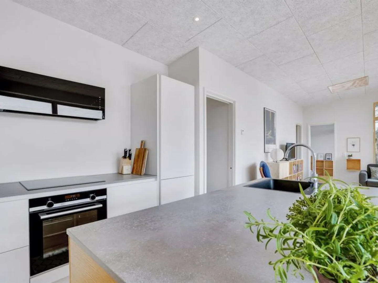 "Haubert" - 500m to the inlet in The Liim Fiord