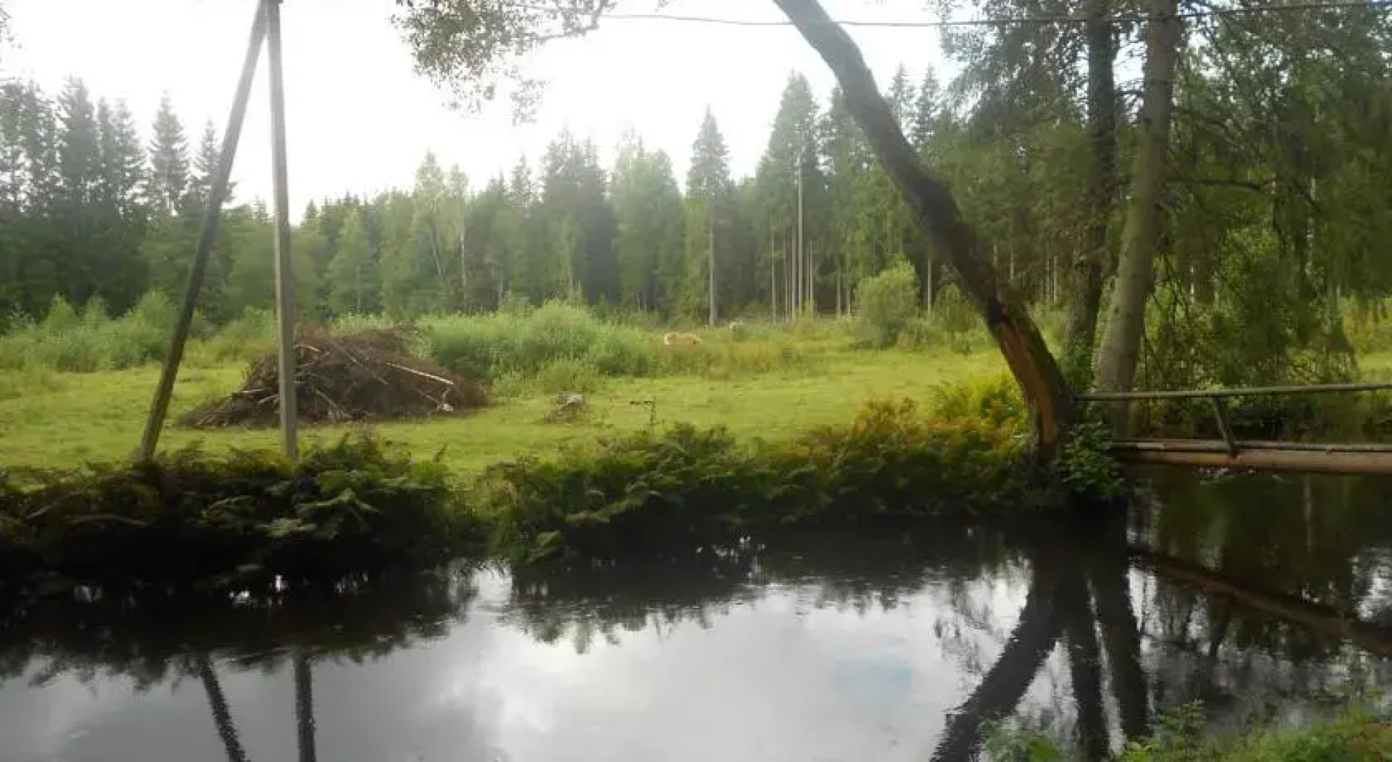 Mustjõe Tourism farm