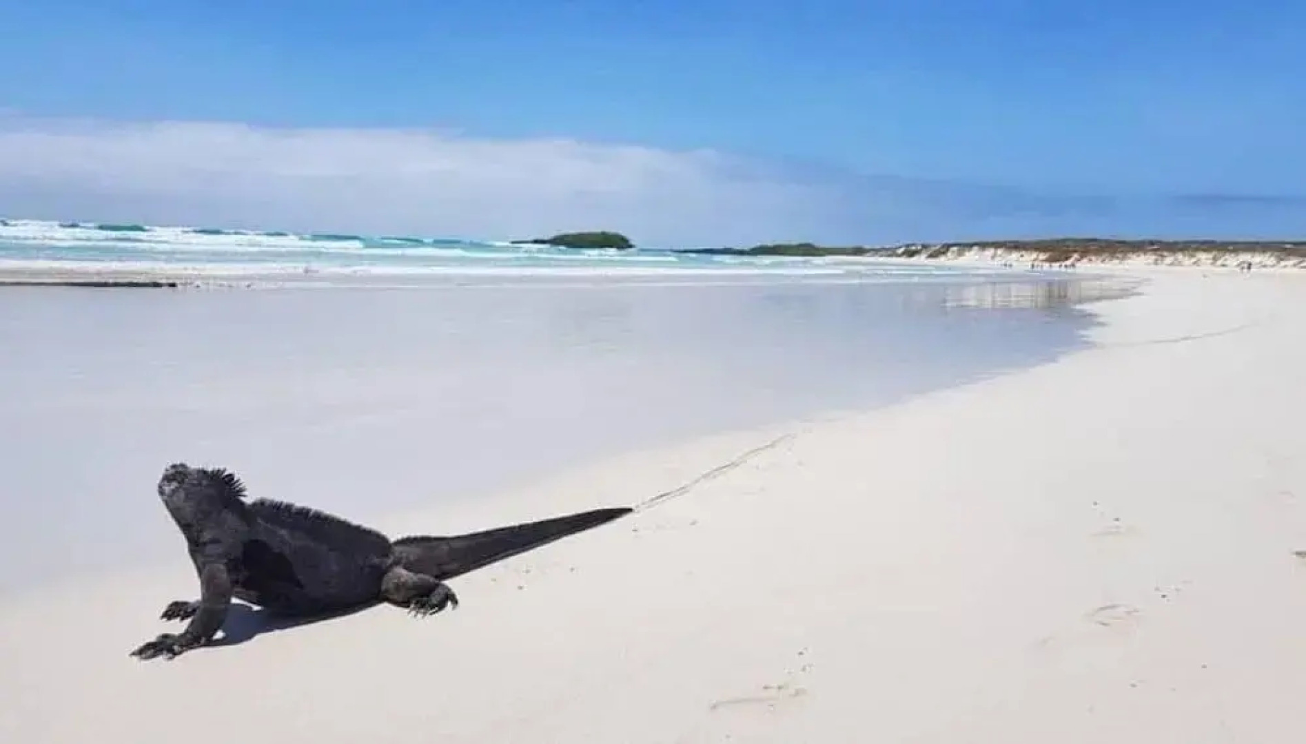 Hotel Palace Galapagos