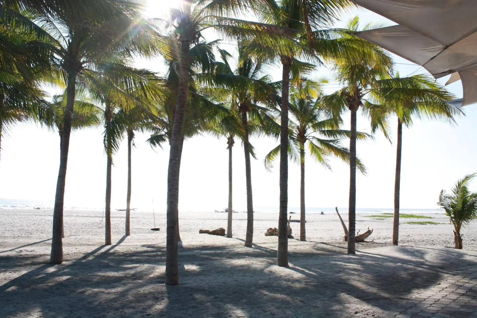 Hotel Bahia Del Sol
