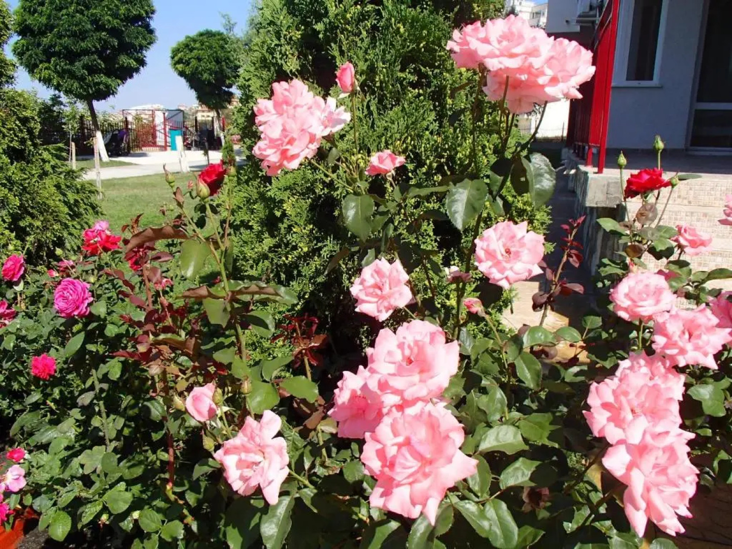 Marina Fort Noks Studio