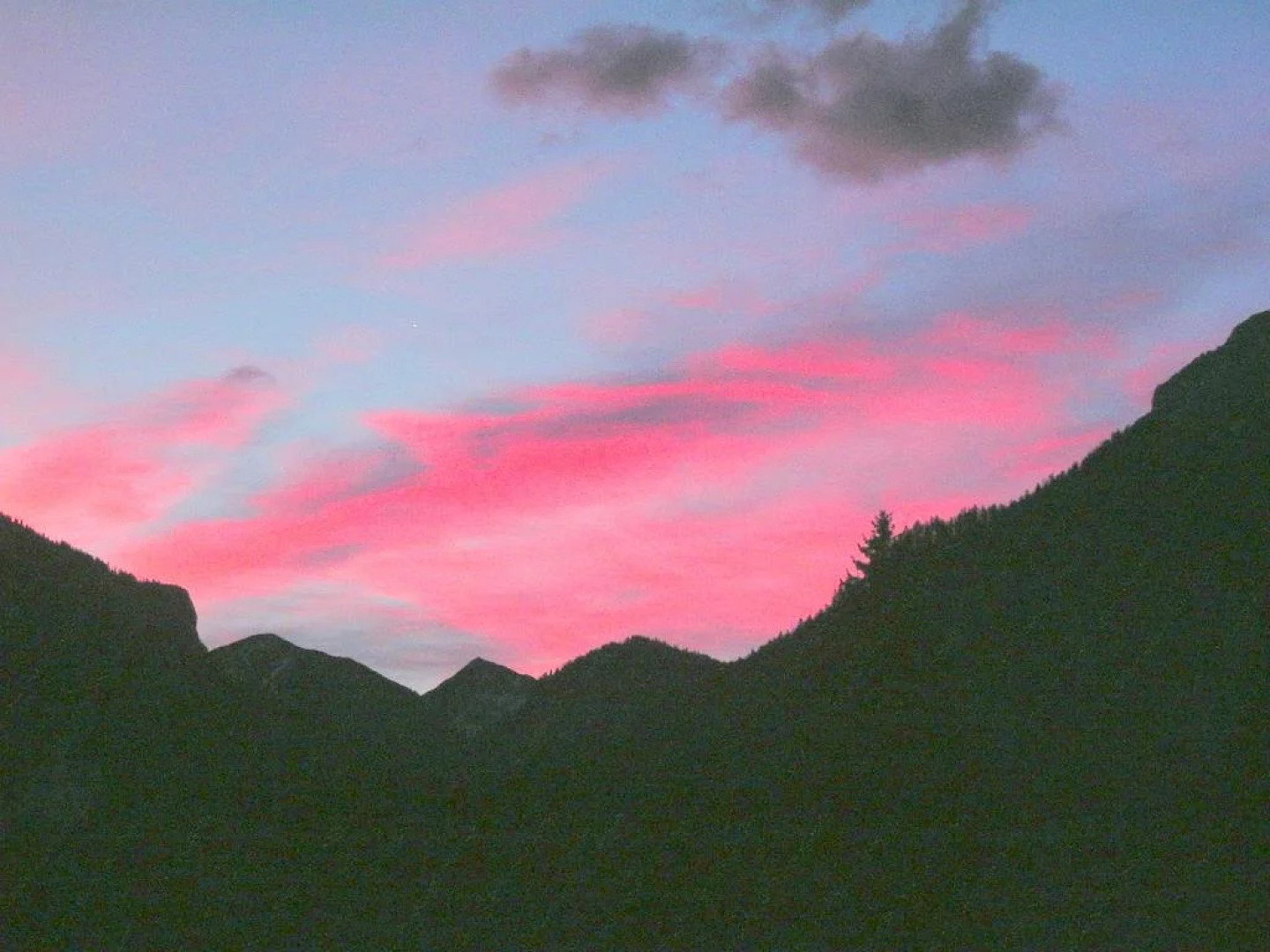 Daisy, Rex & Family Füssen
