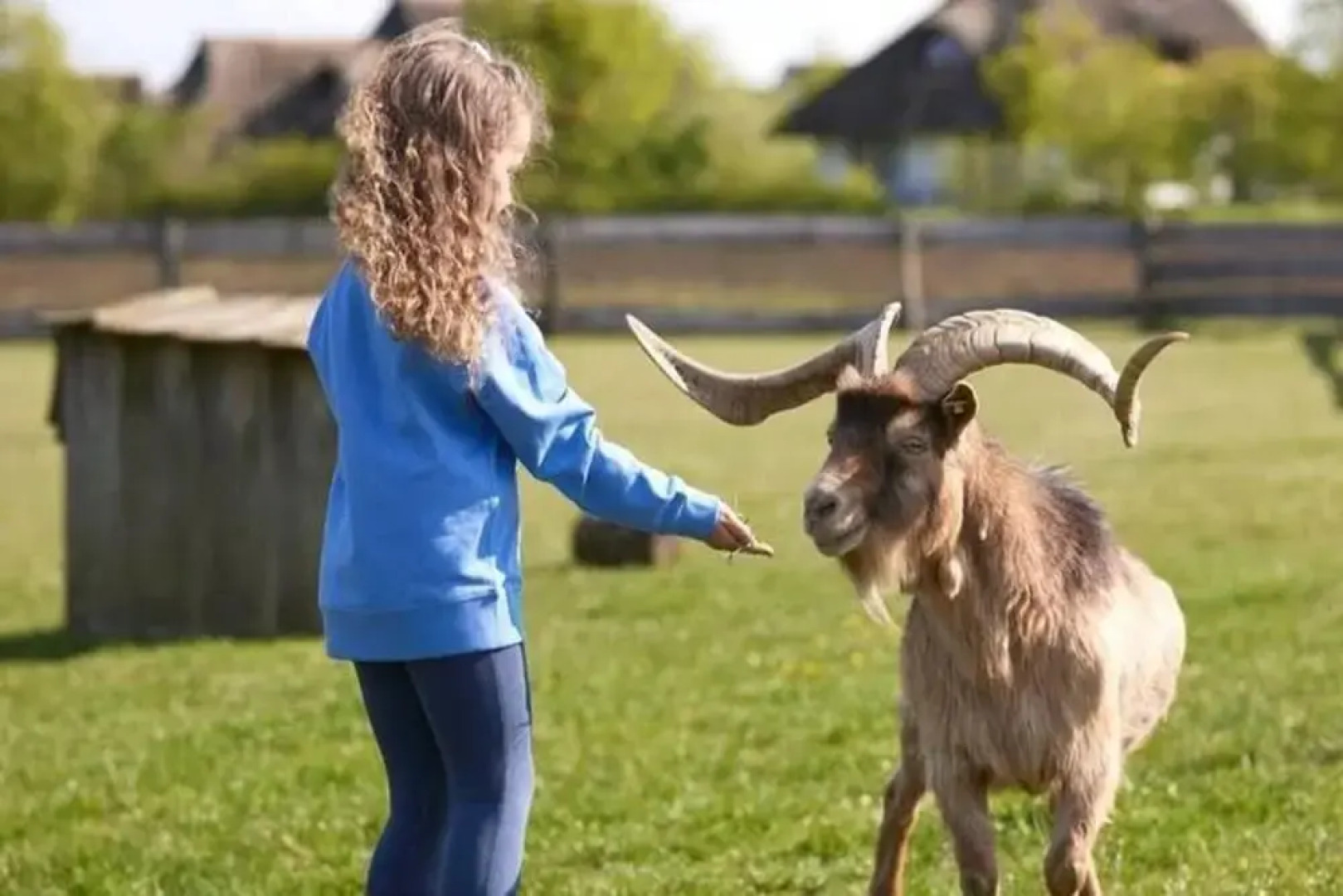 Resort in Germany With Tropical Adventure Pool