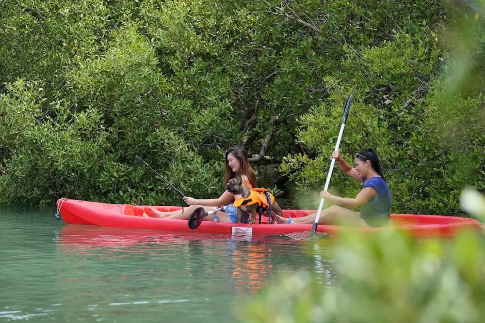 Lago de Oro Hotel & Wakepark