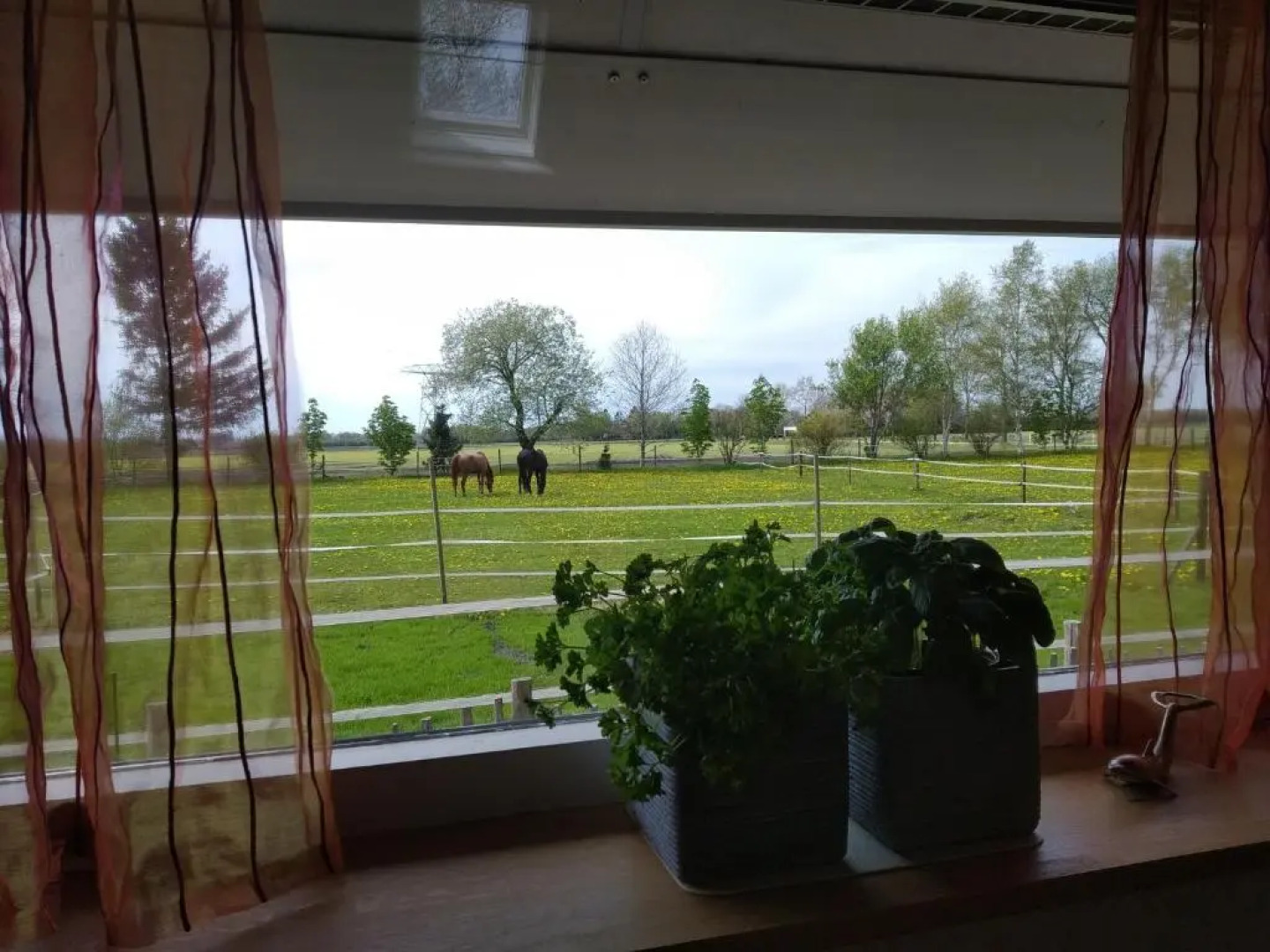 Gastenhuis de Veenstraal