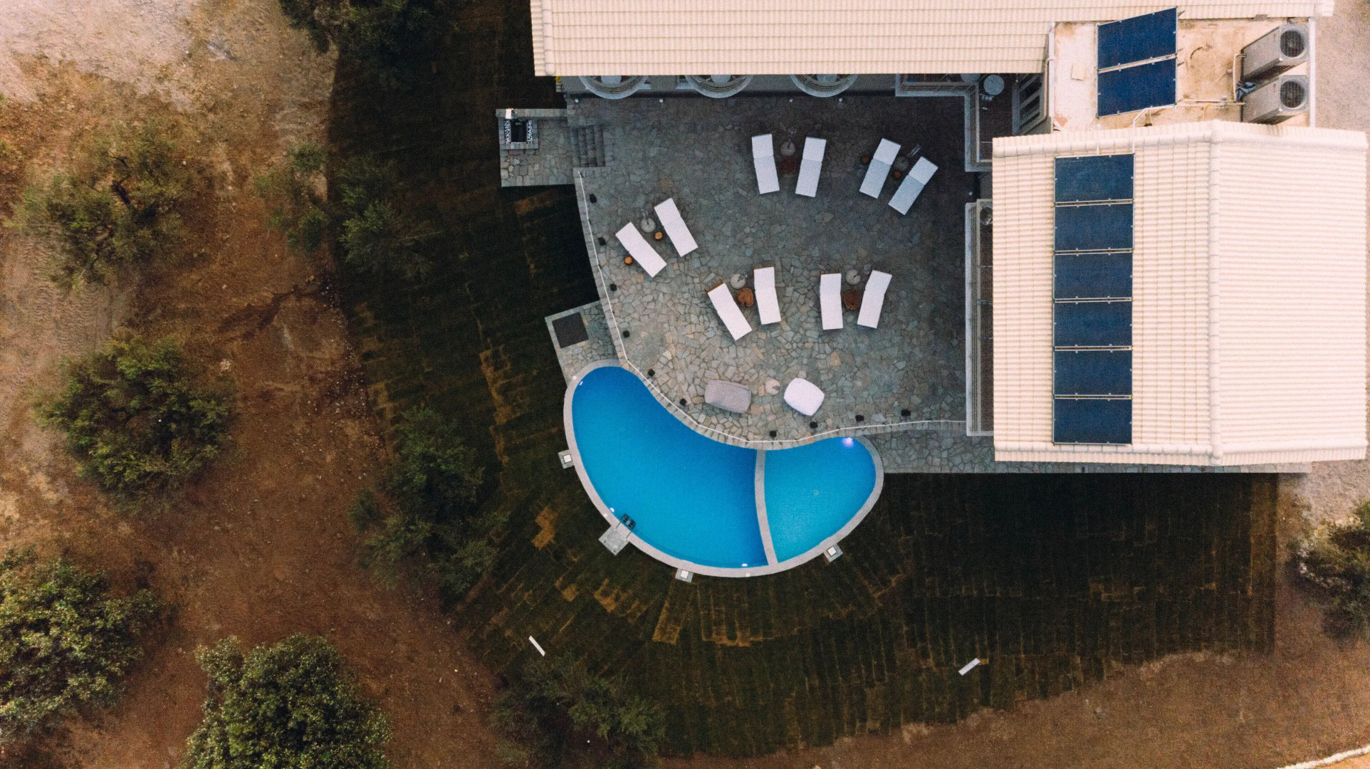 Socrates Organic Village - Wild Olive