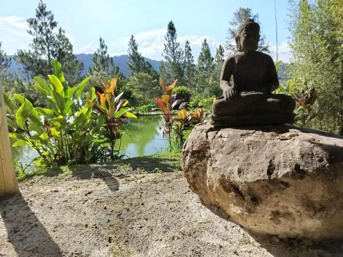 Proyecto Nirodha Orosi