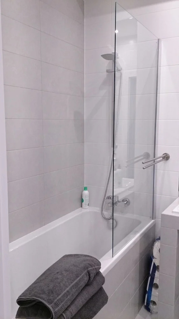 1 bedroom Francuska Park Apartment